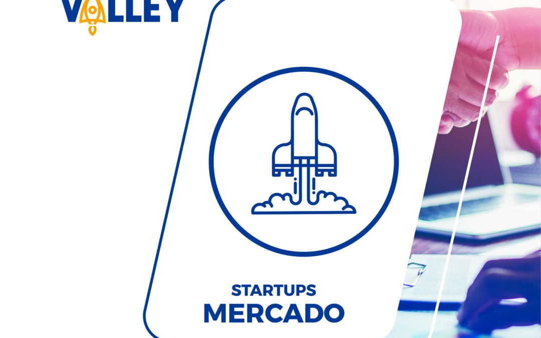 Reunião Online Pilar Mercado – Voti Valley